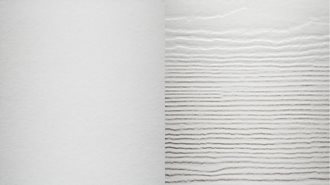 Blanc Arctique